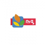 mg-logo-web